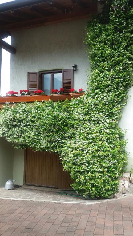 La Casa Del Gelsomino Apartment Ospedaletto  Luaran gambar